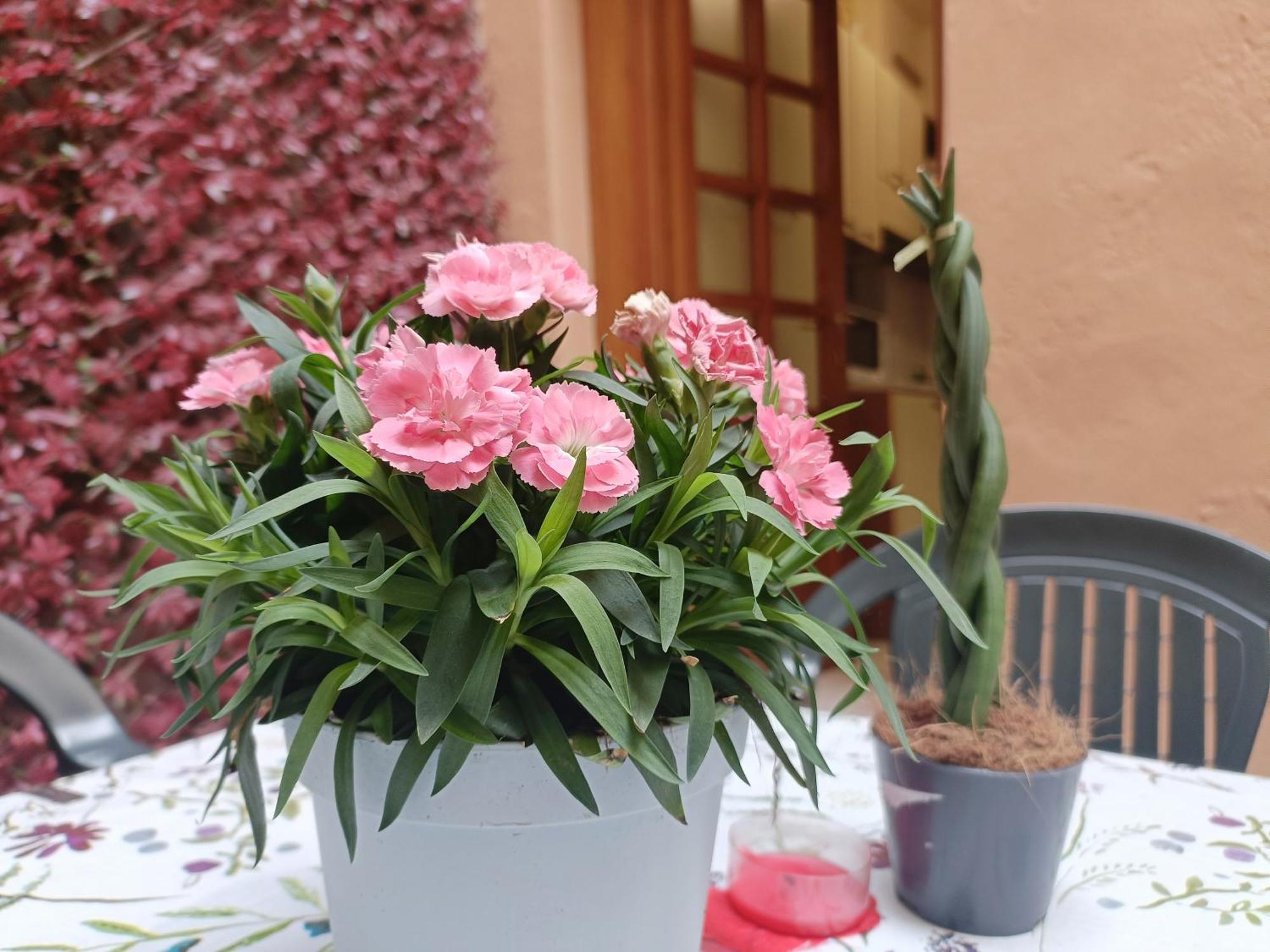 Appartamento Il Giardino Segreto Lucca Esterno foto